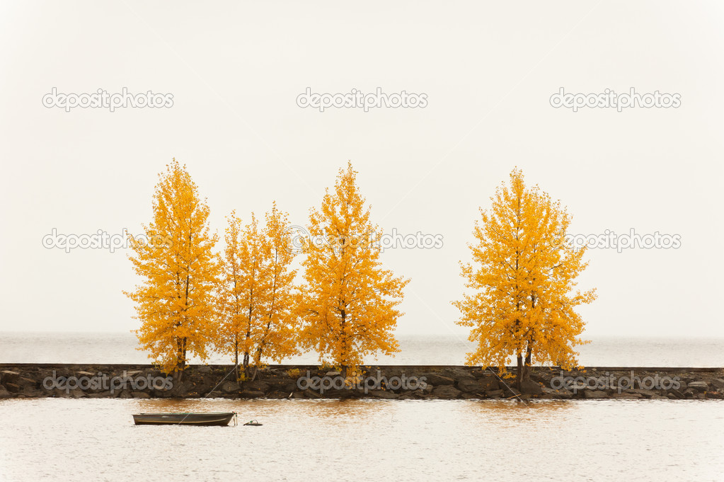 Trees in autumn color on a harbor quay