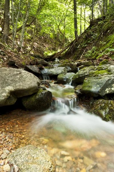 Malé krásné vodopád v lese — Stock fotografie