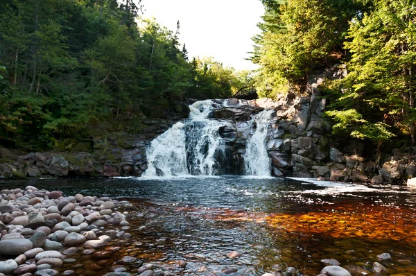 Cachoeira em uma floresta na estação de outono — Fotografia de Stock