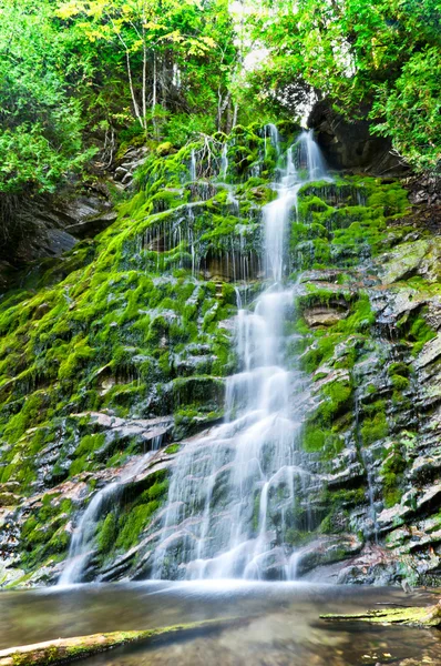Cachoeira na floresta na temporada de outono — Fotografia de Stock