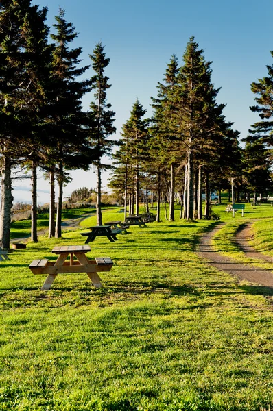 Beautiful rest area of a campground — Stock Photo, Image