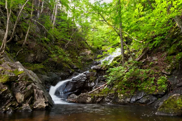 Cachoeira na floresta na temporada de outono — Fotografia de Stock