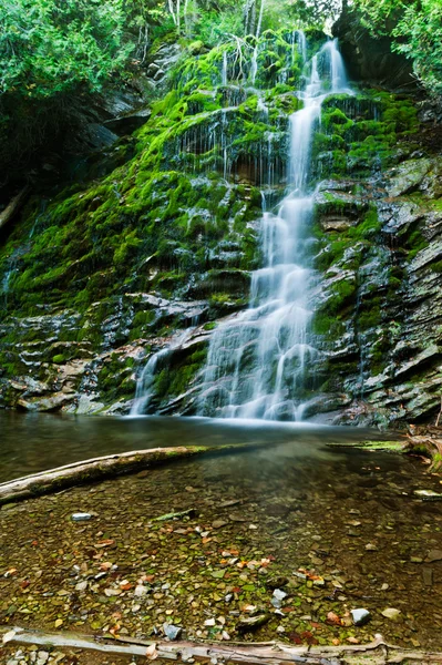 Vodopád v lese v podzimní sezóně — Stock fotografie
