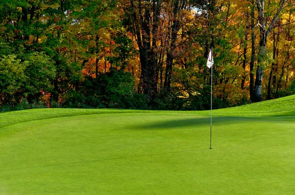 Golfbana puttinggreen Stockbild