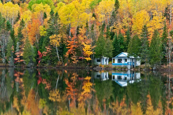 Skog och hus reflektioner — Stockfoto