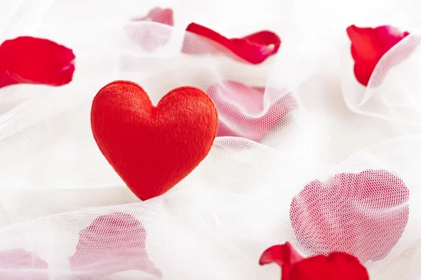 Red heart on wedding veil with rose petals — Stock Photo, Image