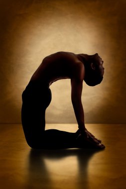 Ustrasana Asana