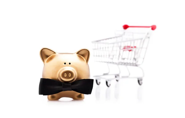 Lucky shopping with a golden pig — Stock Photo, Image