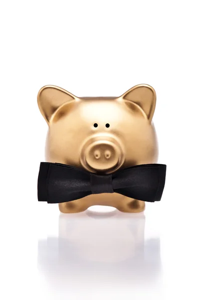 Golden piggy bank with bow tie — Stock Photo, Image