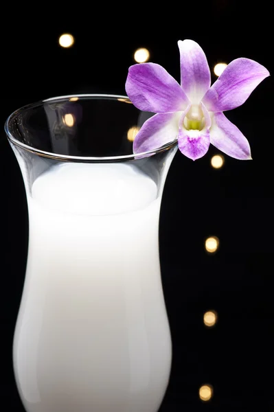 Pina Colada — Stock Photo, Image