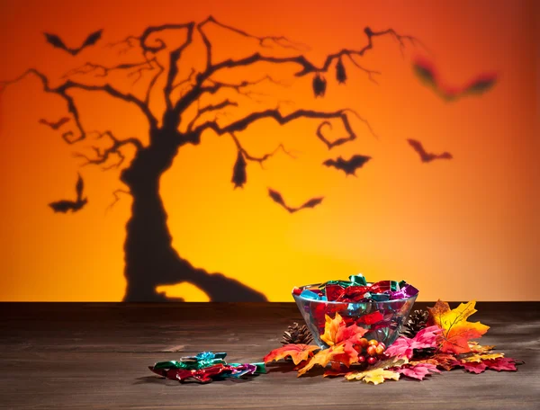 Chauves-souris et bonbons d'Halloween — Photo