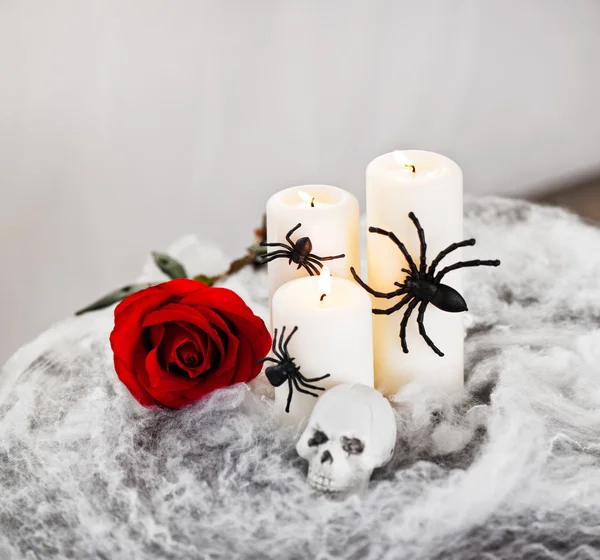 Halloween decoratie — Stockfoto