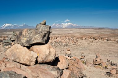 arequipa yoldan chivay için