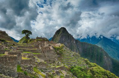 Machu picchu güzellikler genel bakış 