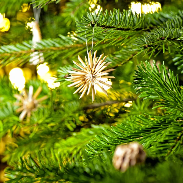 Strohschmuck in einem echten Weihnachtsbaum — Stockfoto