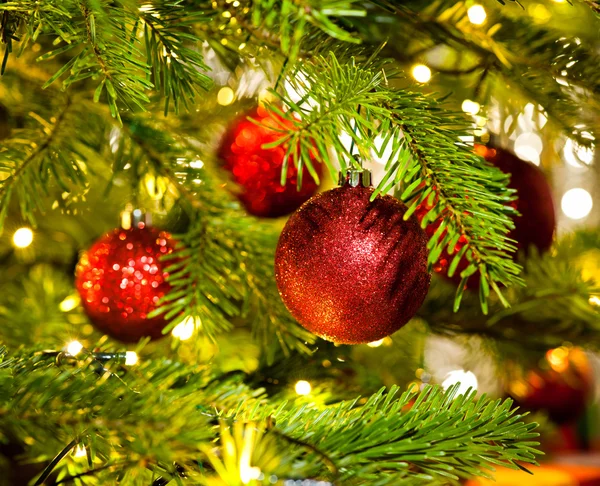 Ornement Bauble dans un vrai sapin de Noël — Photo