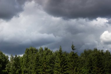 Hava değişimi bulutlar gökyüzü yaz fırtınası yeşil orman
