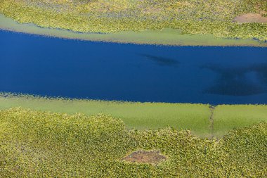 Yeşil nehir akıyor
