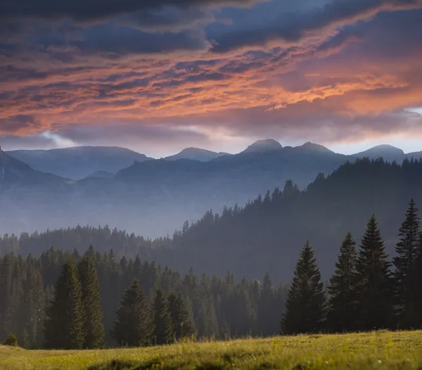 Paisagem de montanha com floresta de abeto, pôr do sol com nuvens vermelhas Fotos De Bancos De Imagens