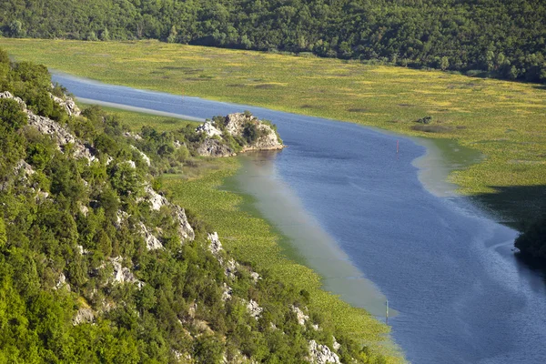 River flows through greens — Stock Photo, Image