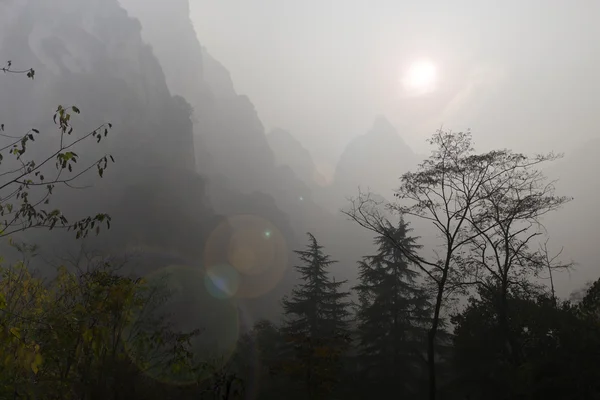 Mountain silhuette and tree in front — Stock Photo, Image