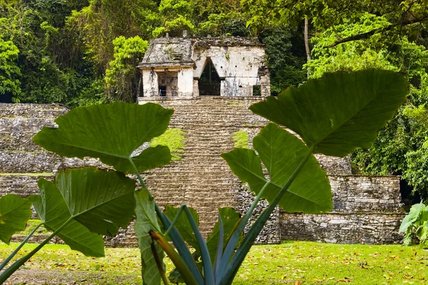Maya ruins Palenque, Mexico — Stock Photo, Image