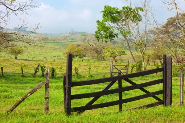 Wood gate in green field — Stock Photo, Image