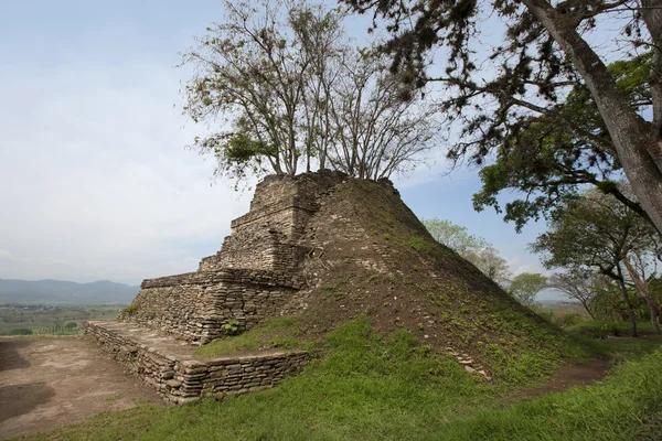 Árboles hasta ruinas maya Tonina, Maxico — Foto de Stock