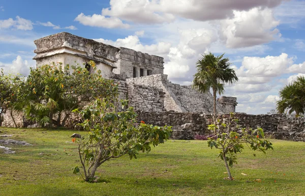 Mayan ruins near the beach, Tulum, Mexico — Stock Photo, Image