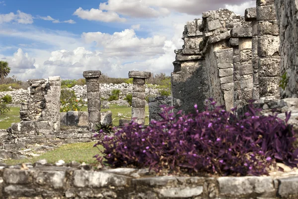 Mayan ruins near the beach, Tulum, Mexico — Stock Photo, Image