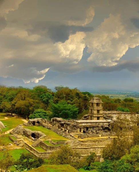 Древні руїни майя Паленке Ліцензійні Стокові Фото