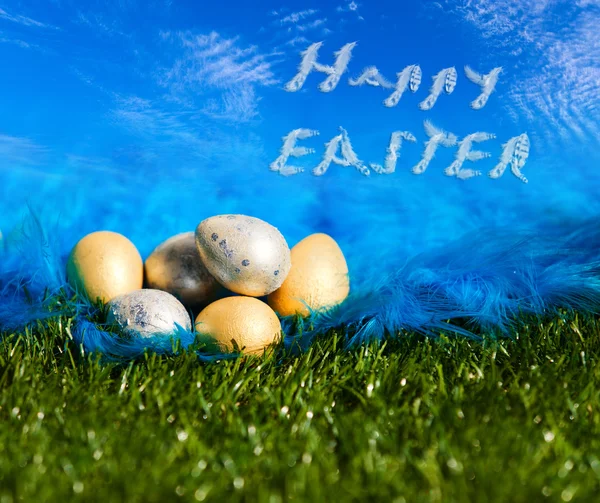 Pasen eieren op het gras en plumelet — Stockfoto