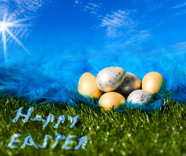 Húsvéti tojás, a fű és a plumelet Stock Fotó