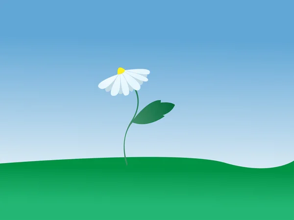 ベクトルの白い花 — ストックベクタ