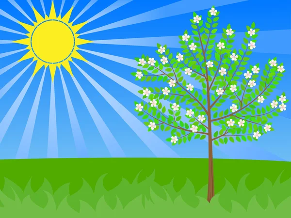 Frühlingsblumen Illustration mit der strahlenden Sonne und dem blühenden Baum — Stockvektor