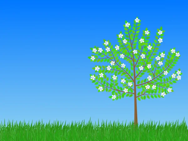 Çiçek açan ağaç — Stok Vektör