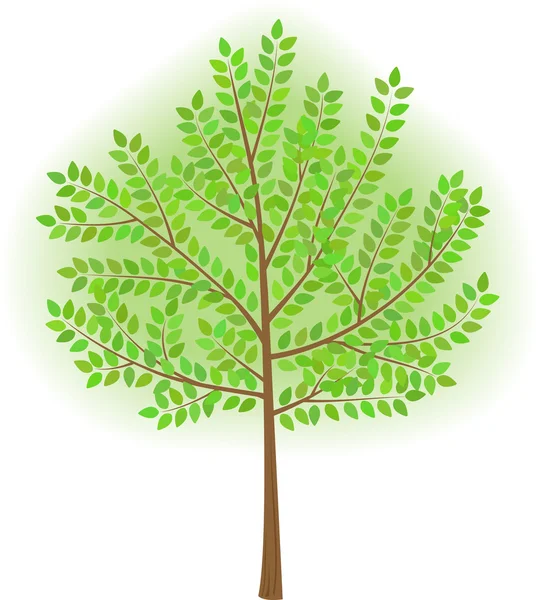 Vector stylized tree — Stock Vector