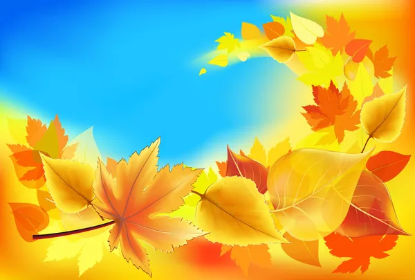 Autumn background — Stock Vector