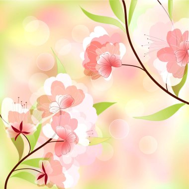 Bahar geçmiş kiraz çiçekleri ile