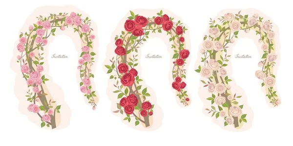 Ett set med vackra ramar med vackra rosor — Stock vektor