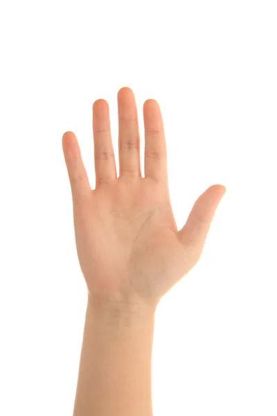 Hand — Stock Photo, Image