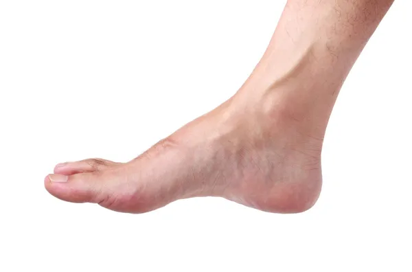 Foot — Stock Photo, Image