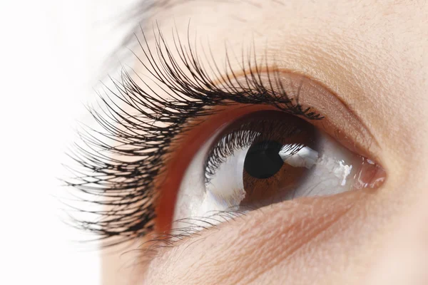 Eyelash — Stock Photo, Image