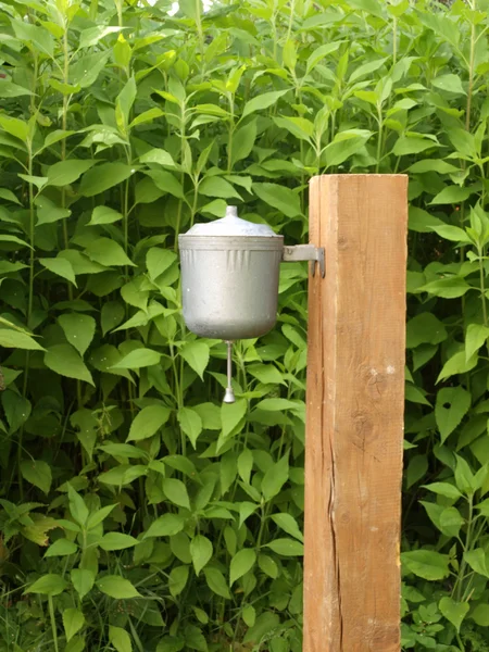 Alter Wasserspender aus Metall auf einem Baumstamm auf dem Hintergrund grüner Pl — Stockfoto