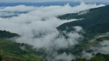 Time lapse , Beautiful mist foggy on mountain. Fog in the rainy season in the tropical rainforest