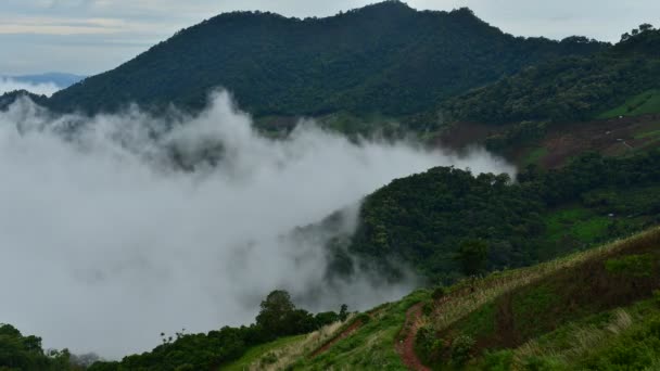 Zaman Aşımı Dağdaki Güzel Sis Tropikal Yağmur Ormanlarında Yağmur Mevsiminde — Stok video