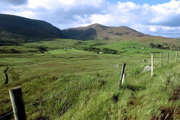 Gröna fälten i Irland — Stockfoto