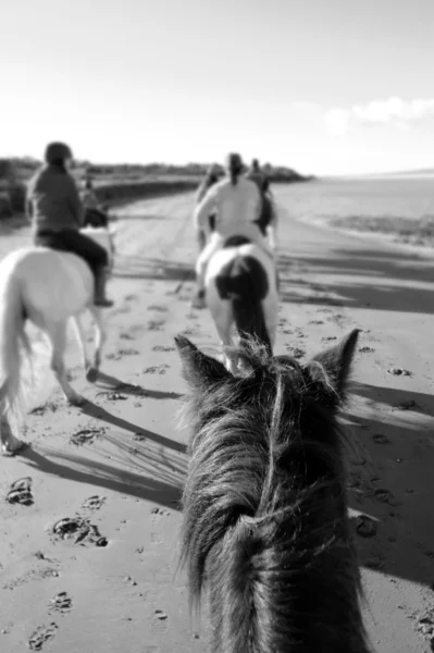 Ponnyridning på en sandstrand — ストック写真