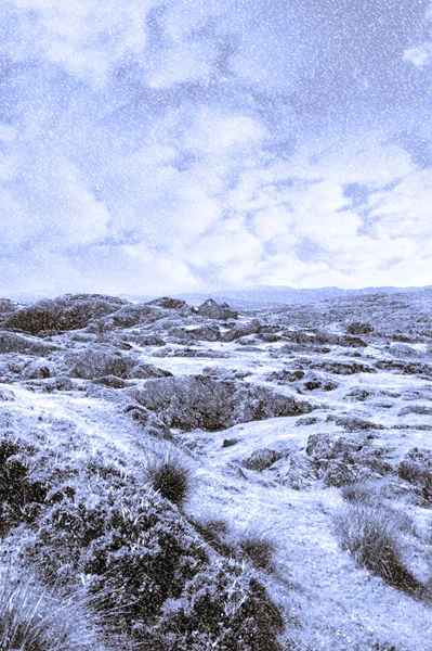 Ruin in irish winter christmas landscape — Stock Photo, Image