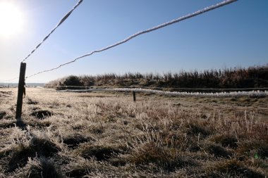 Ice coated wire fence in a farm field clipart